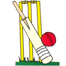 cricket bat and ball gif